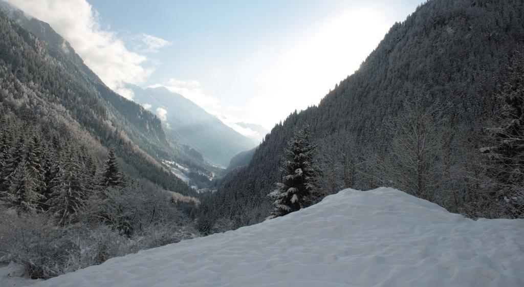 Apartments Haus Schoen - Preise Inclusive Pitztal Sommer Card Jerzens Esterno foto