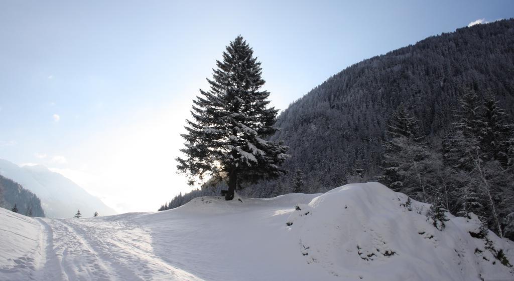Apartments Haus Schoen - Preise Inclusive Pitztal Sommer Card Jerzens Esterno foto
