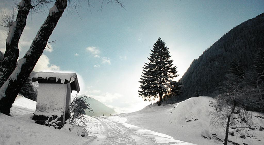 Apartments Haus Schoen - Preise Inclusive Pitztal Sommer Card Jerzens Esterno foto