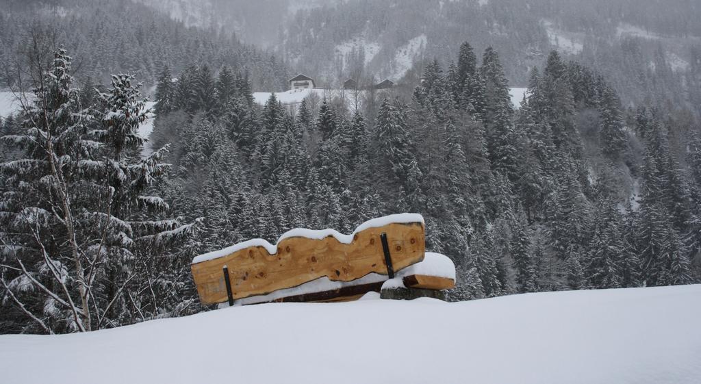Apartments Haus Schoen - Preise Inclusive Pitztal Sommer Card Jerzens Esterno foto